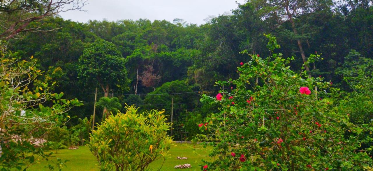 Dan Zoranz Self Catering Guest House La Digue Kültér fotó