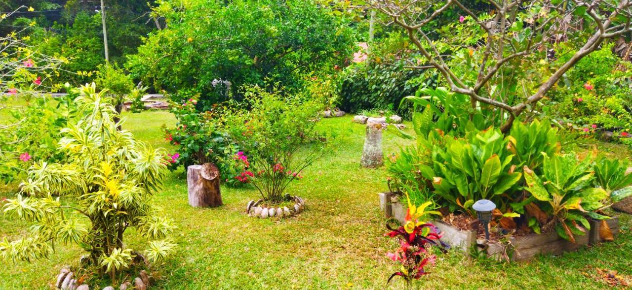 Dan Zoranz Self Catering Guest House La Digue Kültér fotó