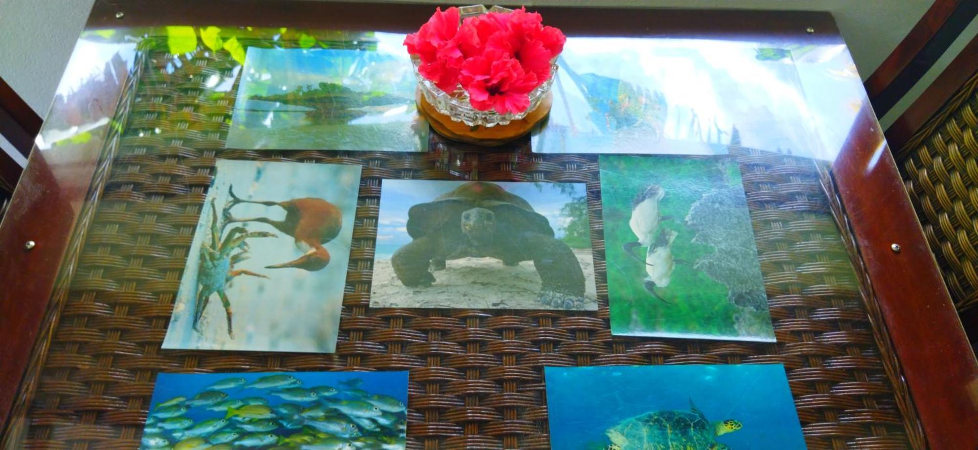 Dan Zoranz Self Catering Guest House La Digue Kültér fotó