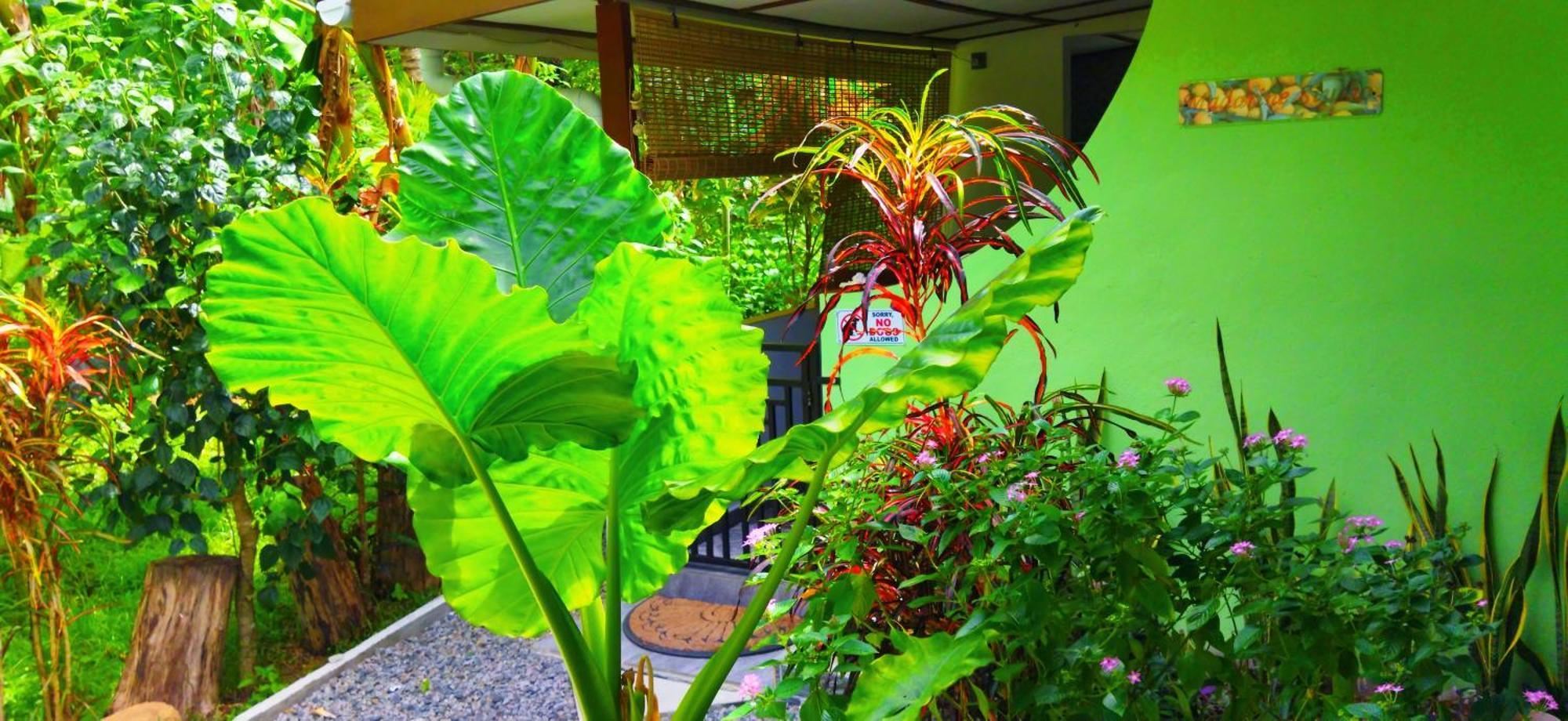 Dan Zoranz Self Catering Guest House La Digue Kültér fotó